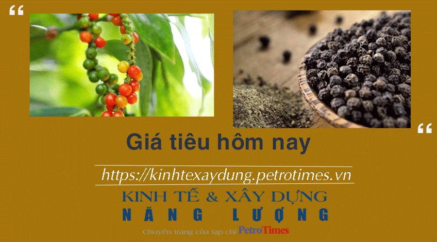 Giá tiêu hôm nay 13/1: Cao nhất ở mức 79.000 đồng/kg