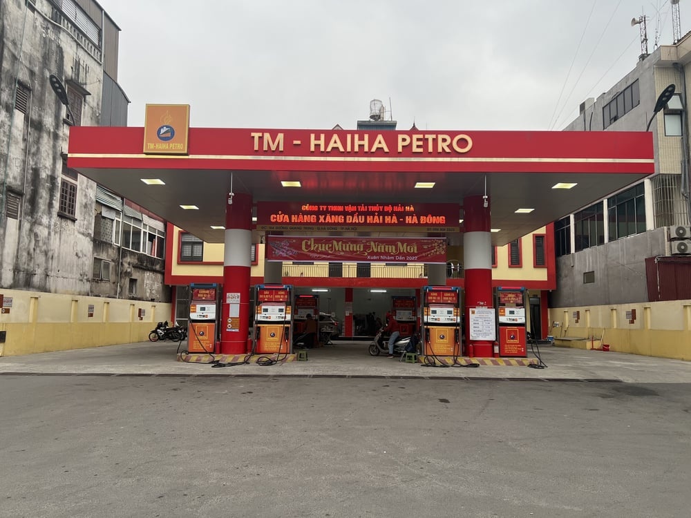 Chính thức thu hồi giấy phép kinh doanh xăng dầu của Hải Hà Petro