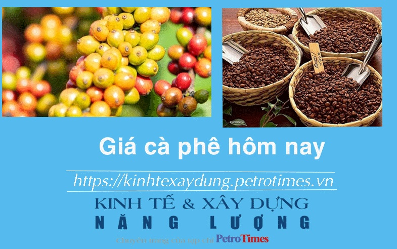 Giá cà phê hôm nay 14/1: Trong nước giảm nhẹ