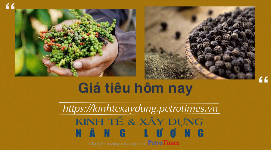 Giá tiêu hôm nay 15/1: Vượt ngưỡng 80.000 đồng/kg
