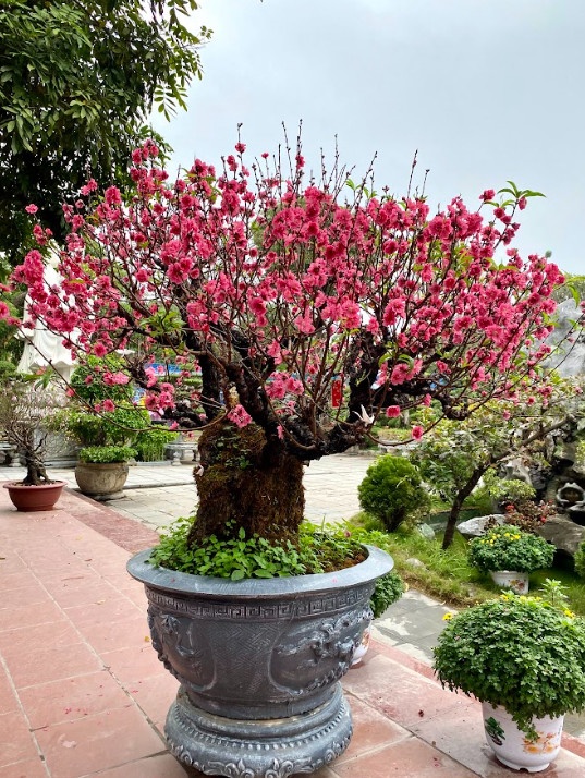 Nhớ Tết quê xưa