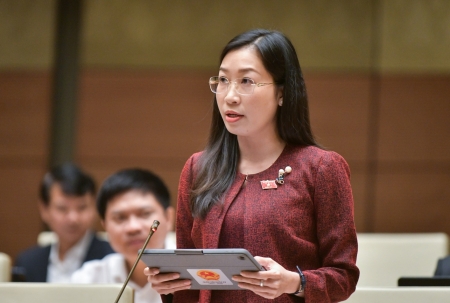 ĐBQH nói gì về giảm tỷ lệ sở hữu, ngăn tình trạng sở hữu chéo, thao túng ngân hàng?