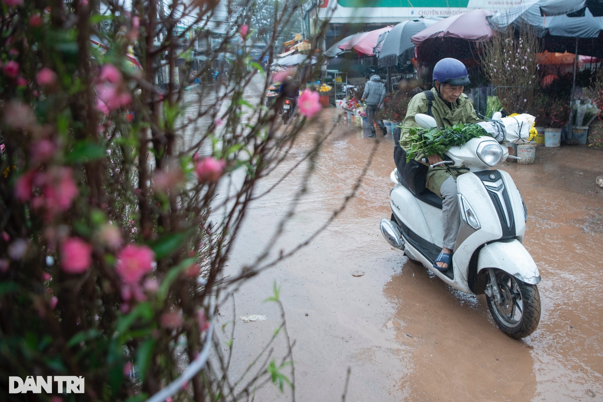 Khổ sở đường vào chợ hoa Tết lớn bậc nhất thủ đô - 7