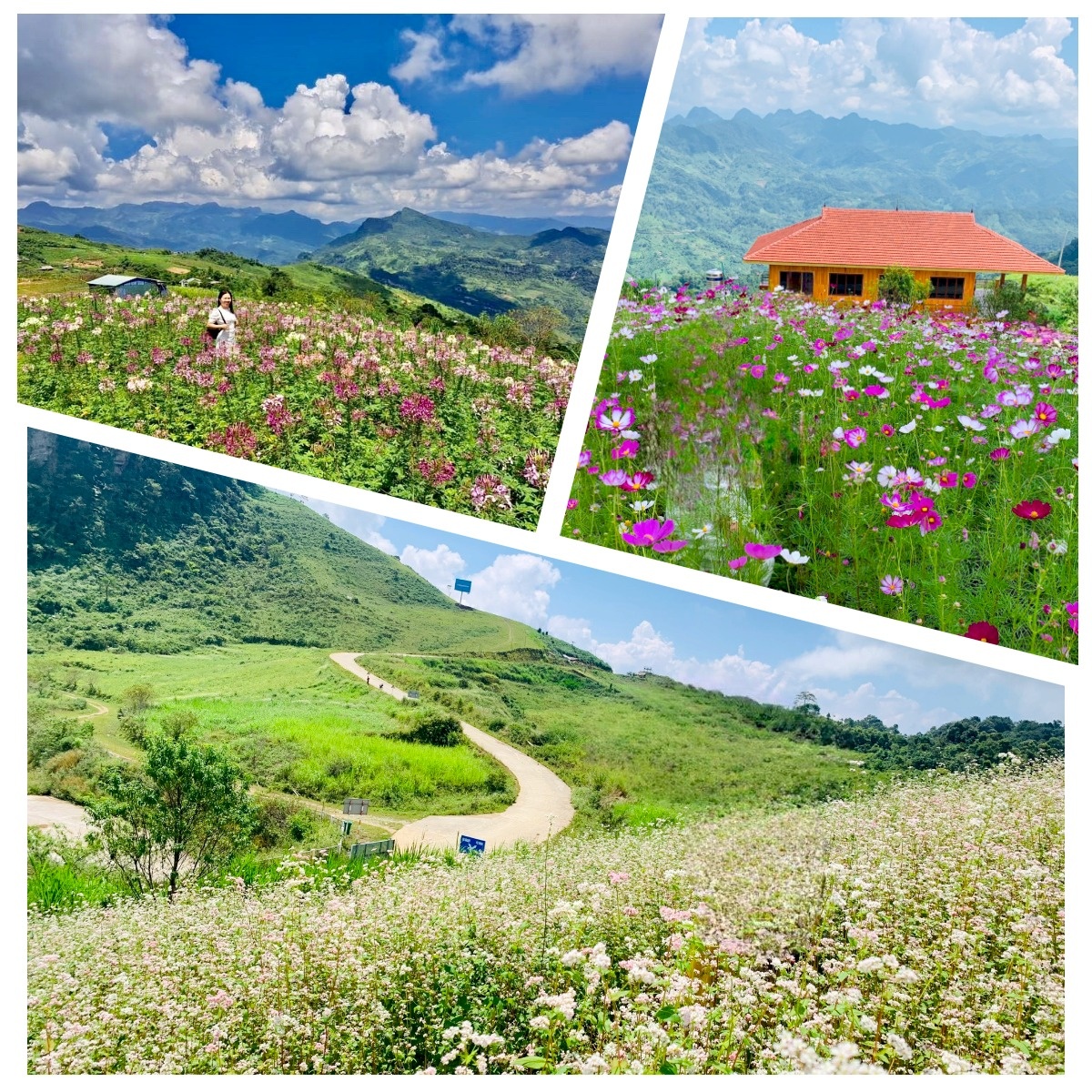 Mù Là - Điểm đến mùa Xuân