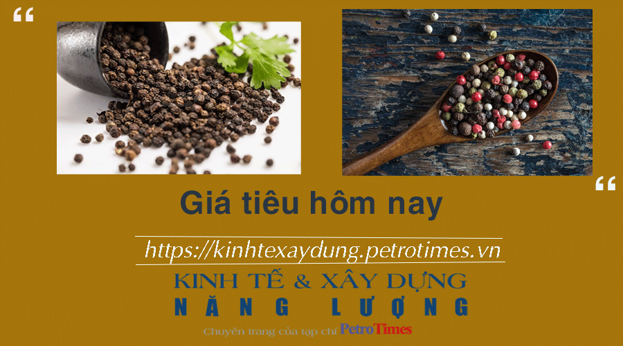 Giá tiêu hôm nay 17/1: Đồng loạt tăng