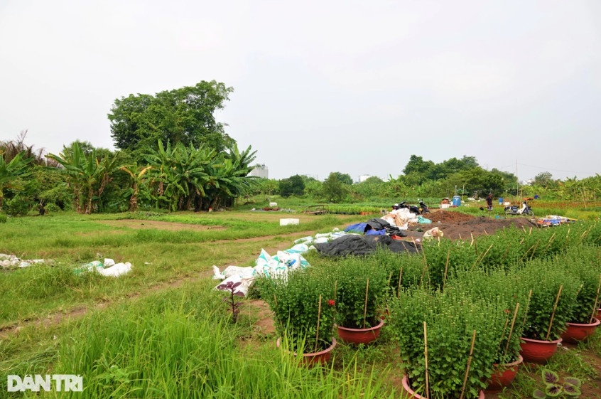 Phần đất trống từng là nơi đặt hàng nghìn chậu hoa ở vườn bà Kim Lan (Ảnh: Nguyễn Vy).