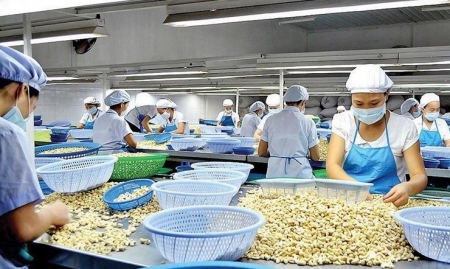 Cảnh báo doanh nghiệp cẩn trọng khi xuất khẩu sang Tây Ban Nha