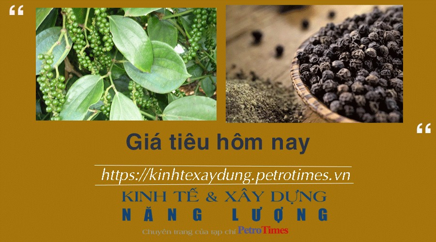 Giá tiêu hôm nay 18/1: Thị trường trong nước tiếp tục tăng