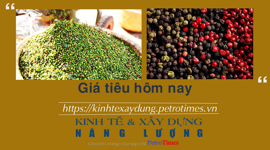 Giá tiêu hôm nay 19/1: Tăng phiên thứ 4 liên tiếp