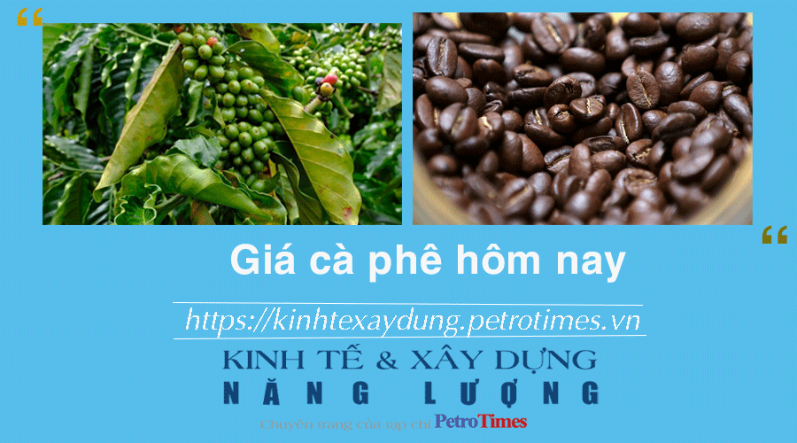 Giá cà phê hôm nay 20/1: Robusta có phiên tăng mạnh