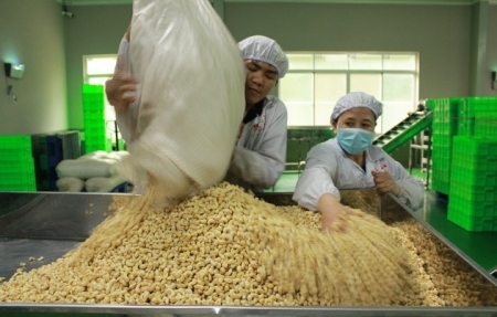 Doanh nghiệp cần biết “tự vệ” và thận trọng trước rủi ro xuất khẩu