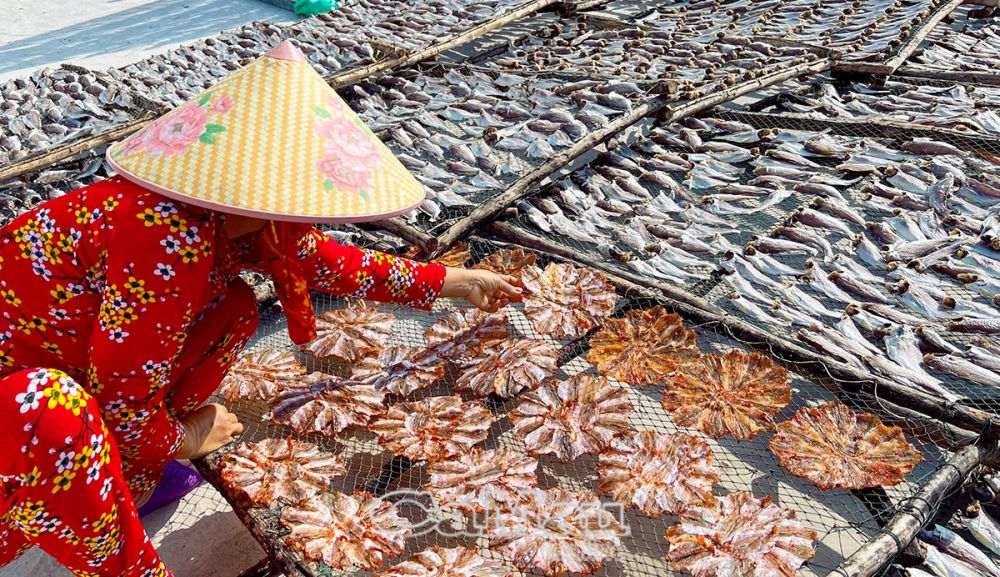 Cà Mau: Làng khô biển thiếu nguyên liệu