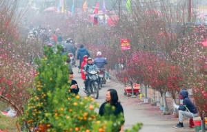 [Infographic] Top chợ hoa Tết nổi tiếng của Thủ đô Hà Nội