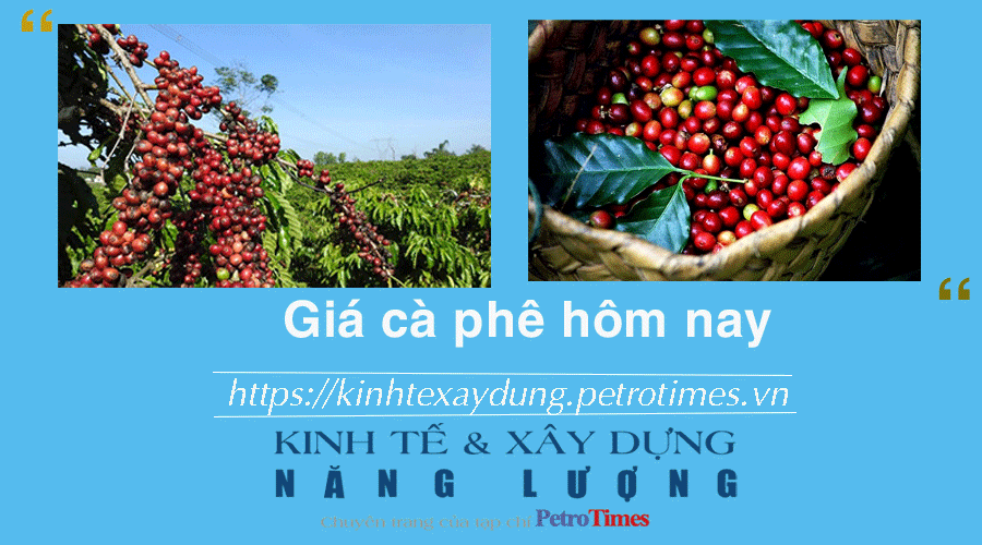 Giá cà phê hôm nay 22/1: Robusta tiếp đà tăng cao