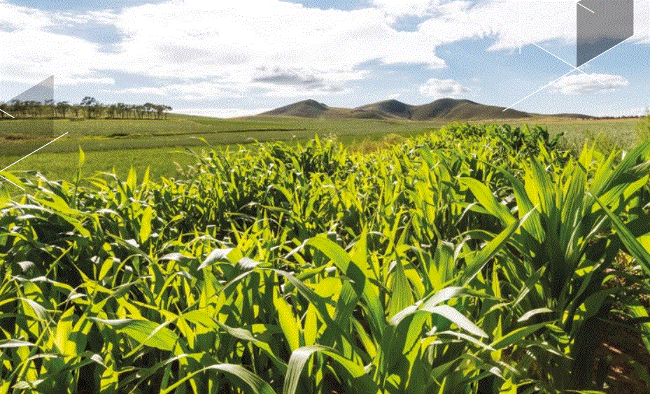 Kỳ VI: Đạt tiến bộ hướng tới trung hòa carbon Kỳ VI: Đạt tiến bộ hướng tới trung hòa carbon