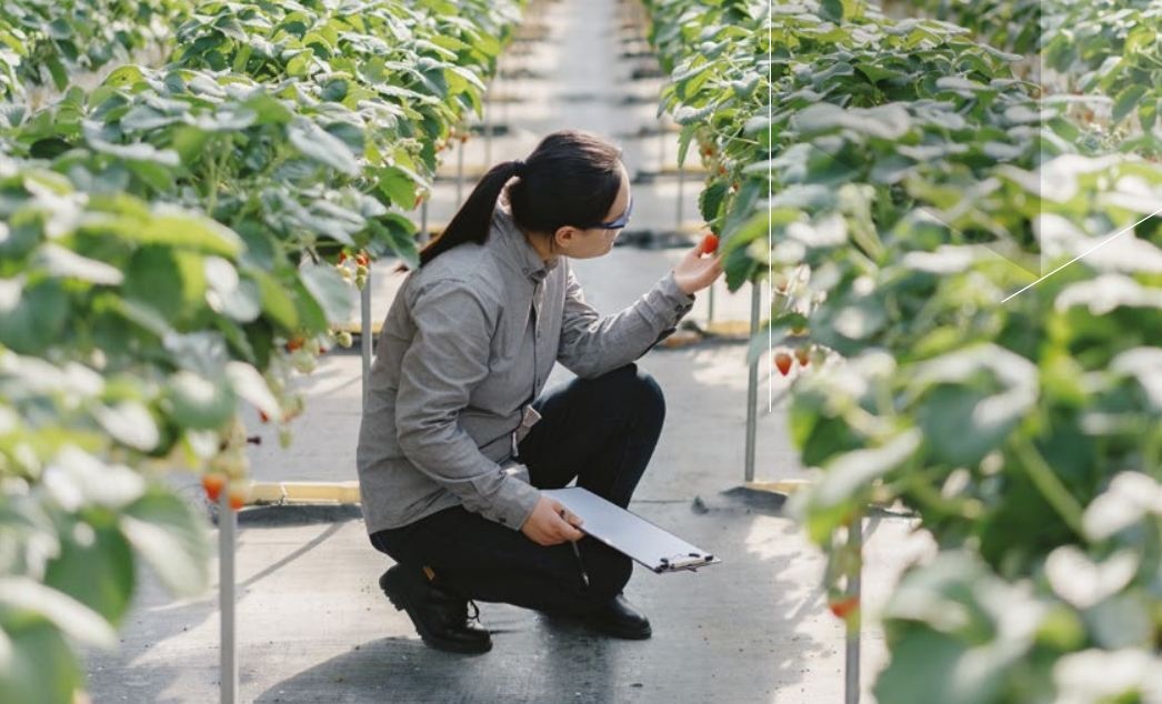 Kỳ VI: Đạt tiến bộ hướng tới trung hòa carbon Kỳ VI: Đạt tiến bộ hướng tới trung hòa carbon