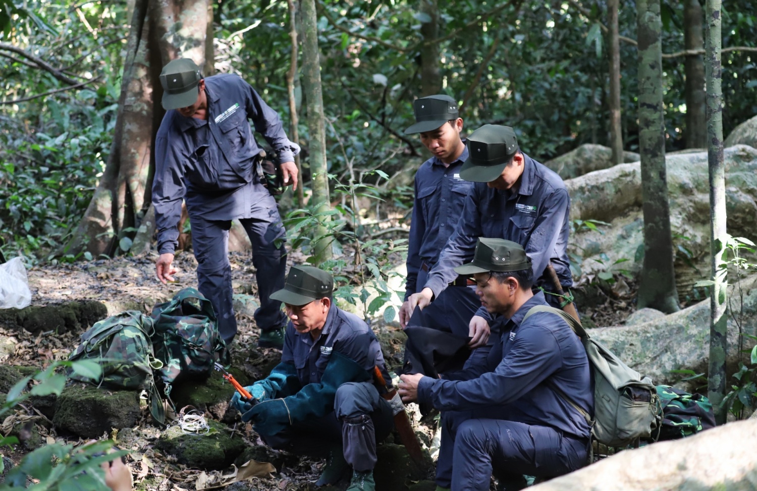 Về Vườn quốc gia Cát Tiên khám phá thiên nhiên hoang dã Về Vườn quốc gia Cát Tiên khám phá thiên nhiên hoang dã