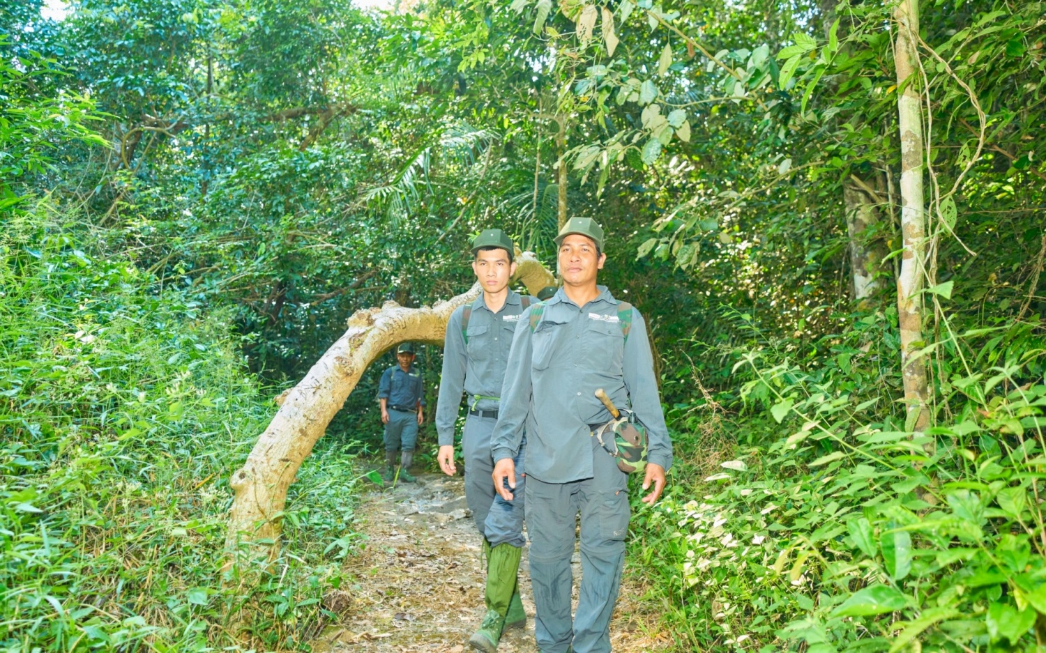 Về Vườn quốc gia Cát Tiên khám phá thiên nhiên hoang dã Về Vườn quốc gia Cát Tiên khám phá thiên nhiên hoang dã