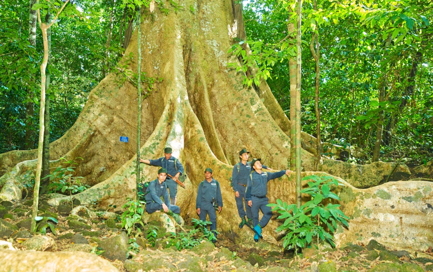 Về Vườn quốc gia Cát Tiên khám phá thiên nhiên hoang dã Về Vườn quốc gia Cát Tiên khám phá thiên nhiên hoang dã
