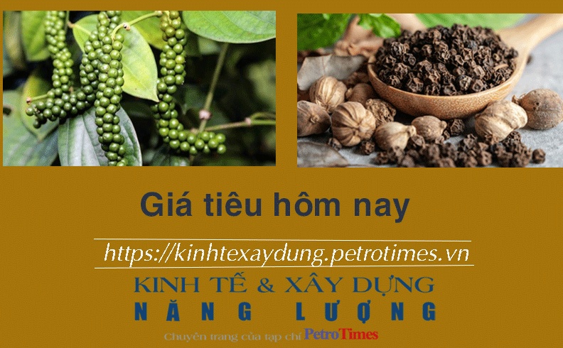 Giá tiêu hôm nay 23/1: Tăng tại Đông Nam Bộ