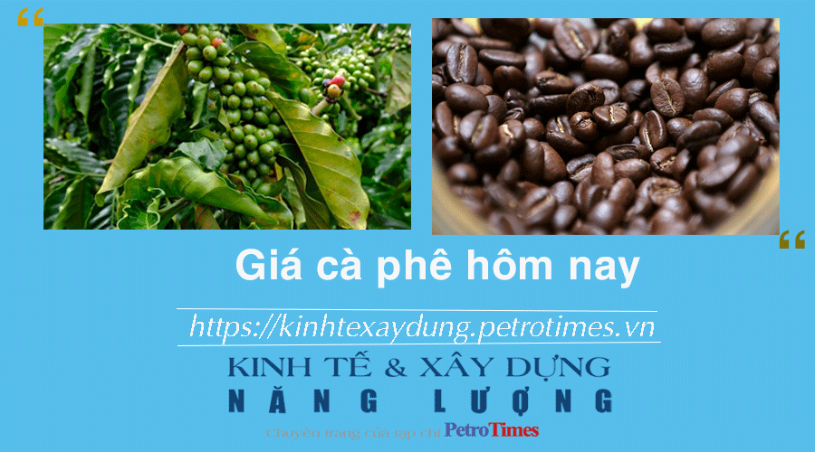 Giá cà phê hôm nay 23/1: Trong nước tiếp tục tăng