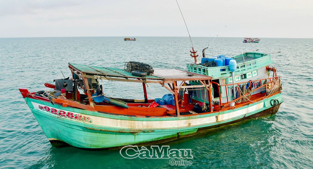Cà Mau: Tranh chấp ngư trường và bài học quản lý khai thác trên biển
