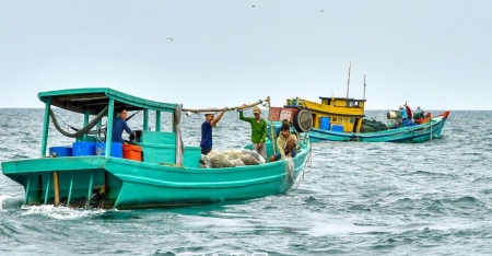 Cà Mau: Tranh chấp ngư trường và bài học quản lý khai thác trên biển