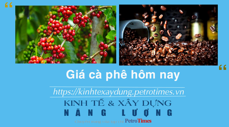 Giá cà phê hôm nay 24/1: Tăng mạnh trở lại