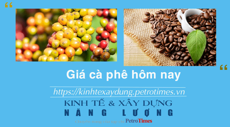 Giá cà phê hôm nay 25/1: Trong nước giảm nhẹ