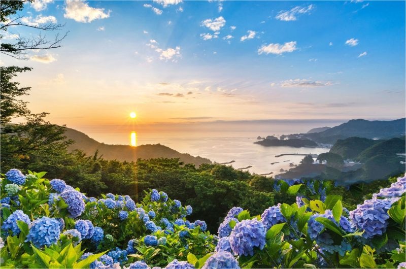 Tử vi ngày 26/1/2024: Tuổi Tỵ tình duyên viên mãn, tuổi Mão thị phi đeo bám