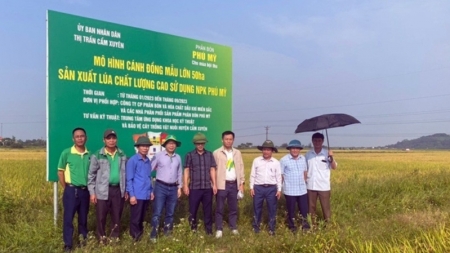 PVFCCo - Vững vàng sứ mệnh vì nông nghiệp Việt