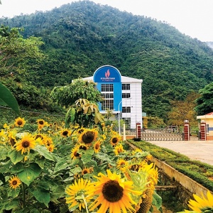 Xuân về nơi  Xuân về nơi