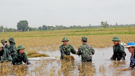 Thái Bình: Xây dựng khu vực biên giới biển vững mạnh toàn diện