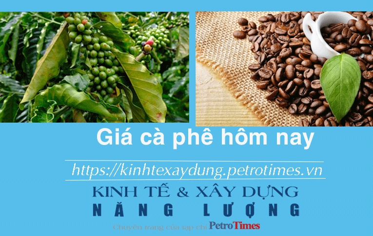 Giá cà phê hôm nay 30/1: Trong nước tăng nhẹ