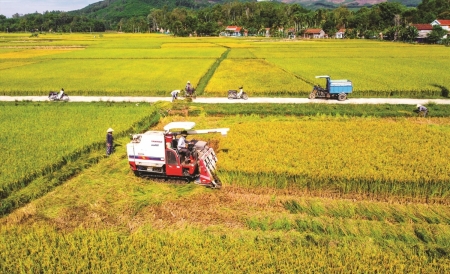 Chủ động chào đón doanh nghiệp đầu tư nông nghiệp