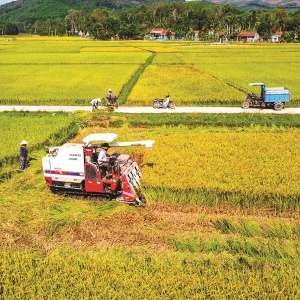 Chủ động chào đón doanh nghiệp đầu tư nông nghiệp