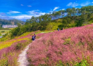 10 điểm đến được yêu thích nhất dịp Tết Nguyên đán 2024