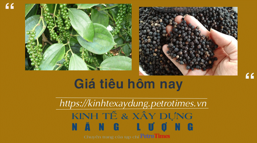 Giá tiêu hôm nay 4/2: Vượt ngưỡng 80.000 đồng