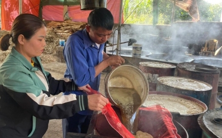 Tất bật những mẻ mật mía cuối năm ở làng Găng