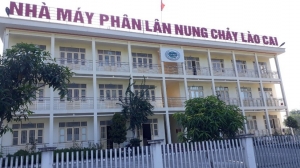 Vì sao Công ty Phân lân nung chảy Lào Cai bị phạt 700 triệu đồng?