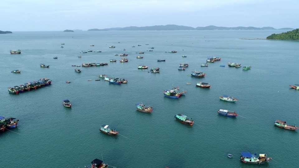 Cô Tô - Một vùng đảo xanh