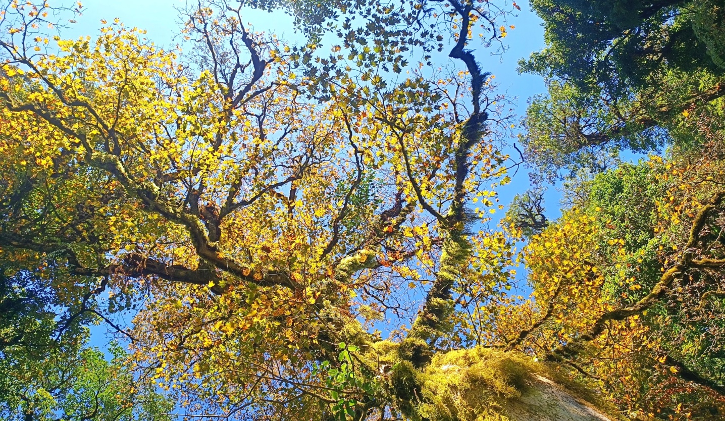 Mùa xuân trekking Nam Kang Hô Tao