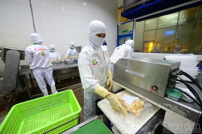 Năm 2024 được cho là năm áp chót của kế hoạch phát triển kinh tế xã hội của giai đoạn 2021 – 2025 - Ảnh minh họa