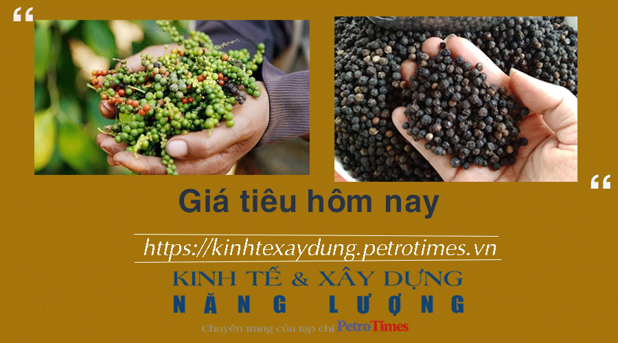 Giá tiêu hôm nay 8/2: Duy trì ổn định