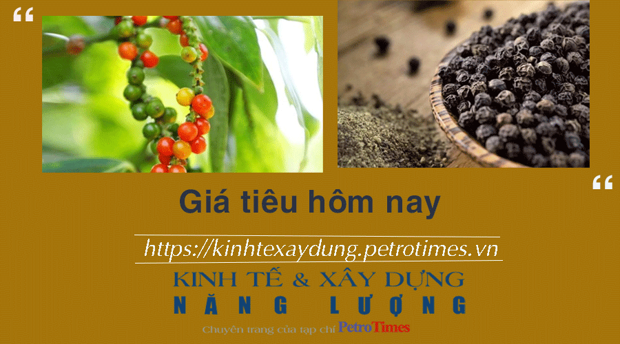 Giá tiêu hôm nay 9/2: Trong nước lặng sóng