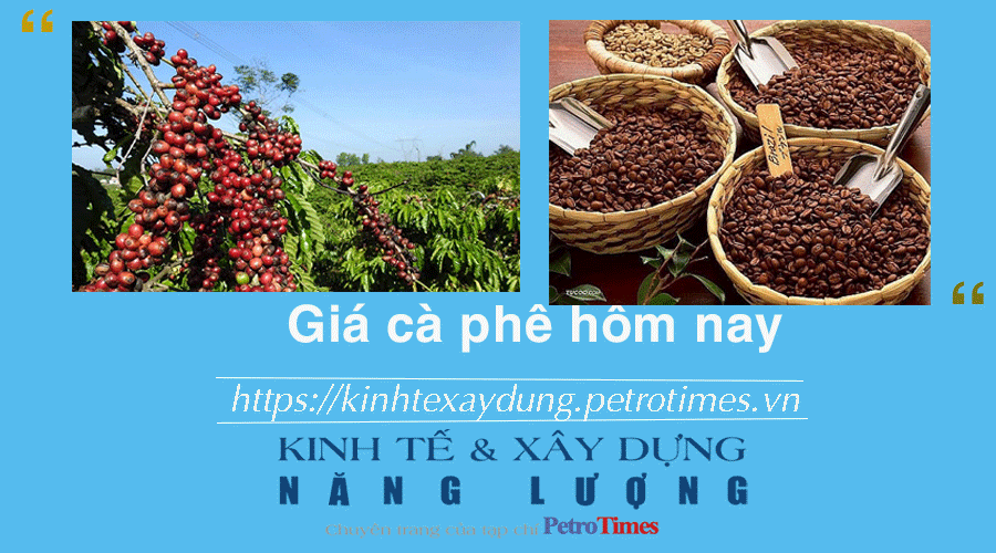 Giá cà phê hôm nay 10/2: Robusta lấy lại đà tăng