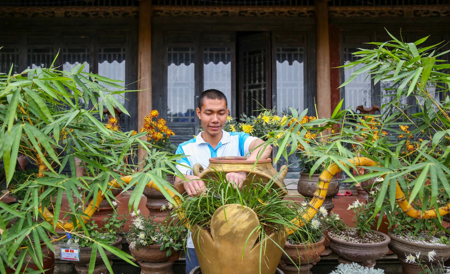 Gặp chủ nhân chậu tre bonsai đặt trong tiệc trà Tổng Bí thư