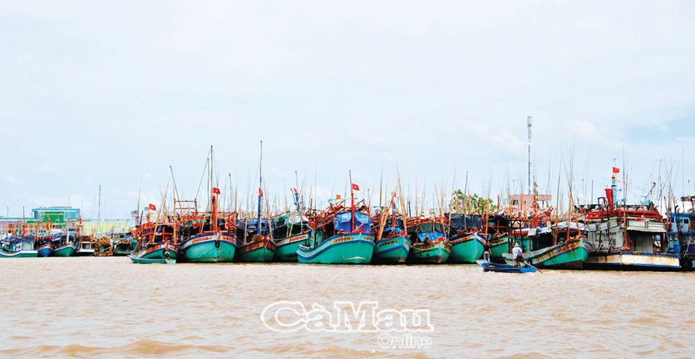 Cà Mau: Xứng tầm đô thị biển