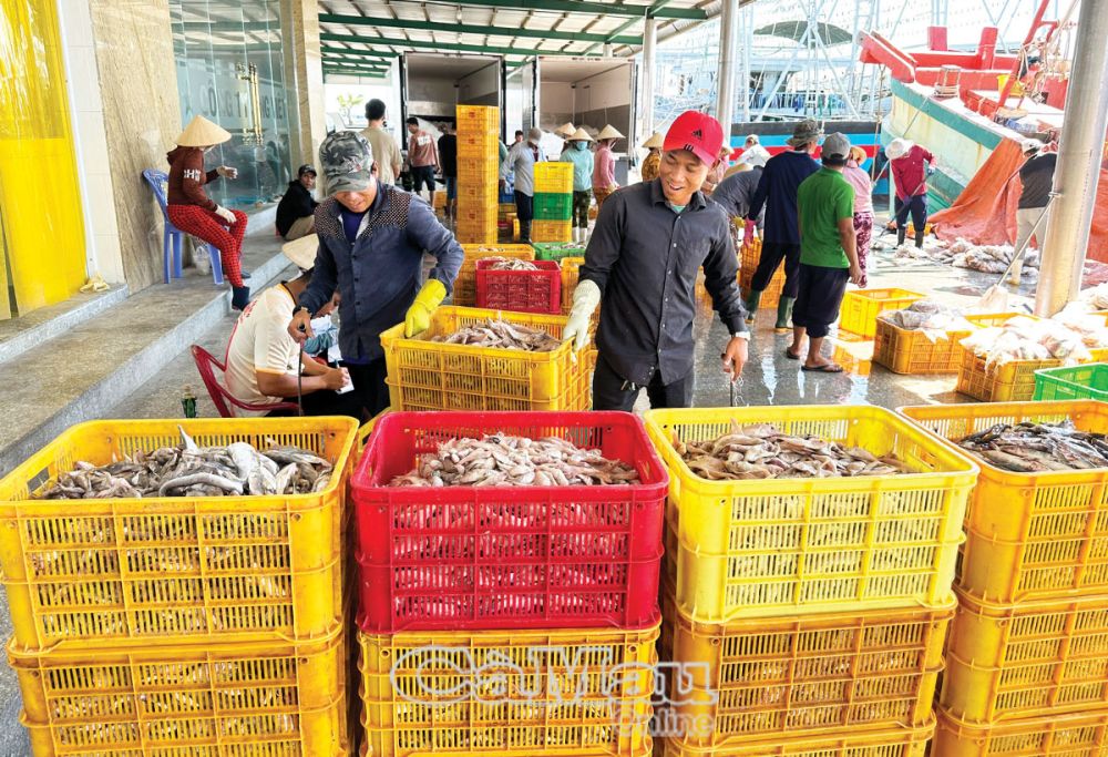 Cà Mau: Xứng tầm đô thị biển
