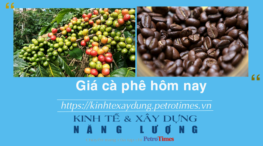 Giá cà phê hôm nay 16/2: Trong nước tiếp tục giảm sâu